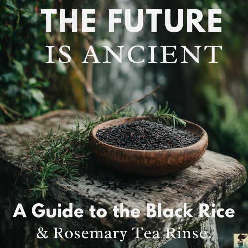 Jóhi Tales The Future is Ancient: Why I’m Returning to My Roots #1